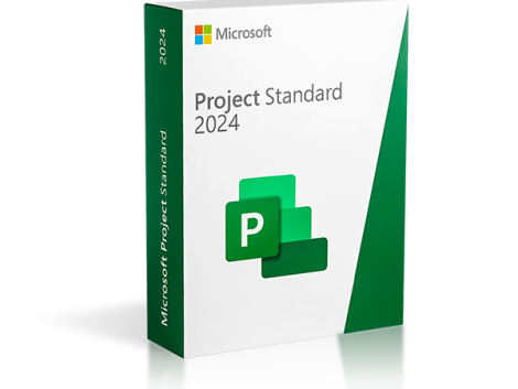 Project-standard-2024-esd